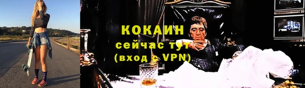 ПСИЛОЦИБИНОВЫЕ ГРИБЫ Бородино