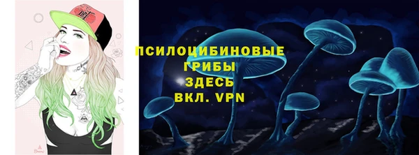 ПСИЛОЦИБИНОВЫЕ ГРИБЫ Бородино
