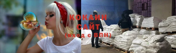 ПСИЛОЦИБИНОВЫЕ ГРИБЫ Бородино