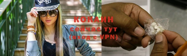 ПСИЛОЦИБИНОВЫЕ ГРИБЫ Бородино