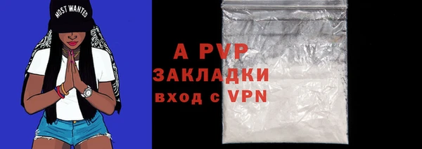 ПСИЛОЦИБИНОВЫЕ ГРИБЫ Бородино