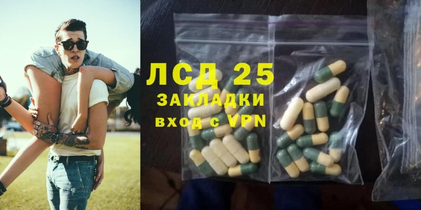 ПСИЛОЦИБИНОВЫЕ ГРИБЫ Бородино
