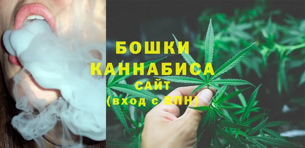 ПСИЛОЦИБИНОВЫЕ ГРИБЫ Бородино